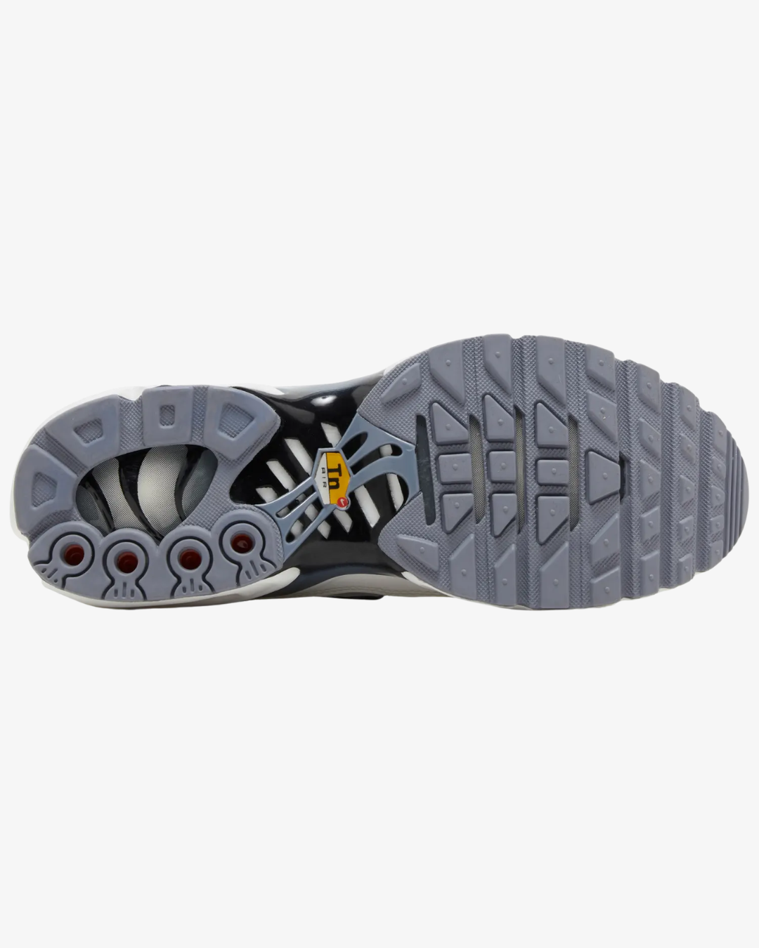 Nike Air Max Plus Smoke Grey Ashen Slate Wmns