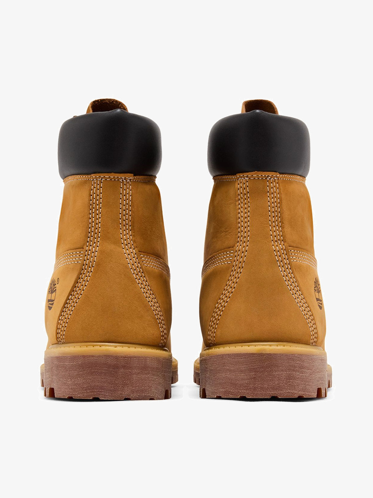 Timberland 6" Premium Waterproof Boot 'Wheat' β back