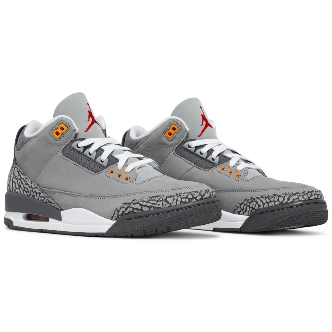Jordan 3 Retro Cool Grey (2021)