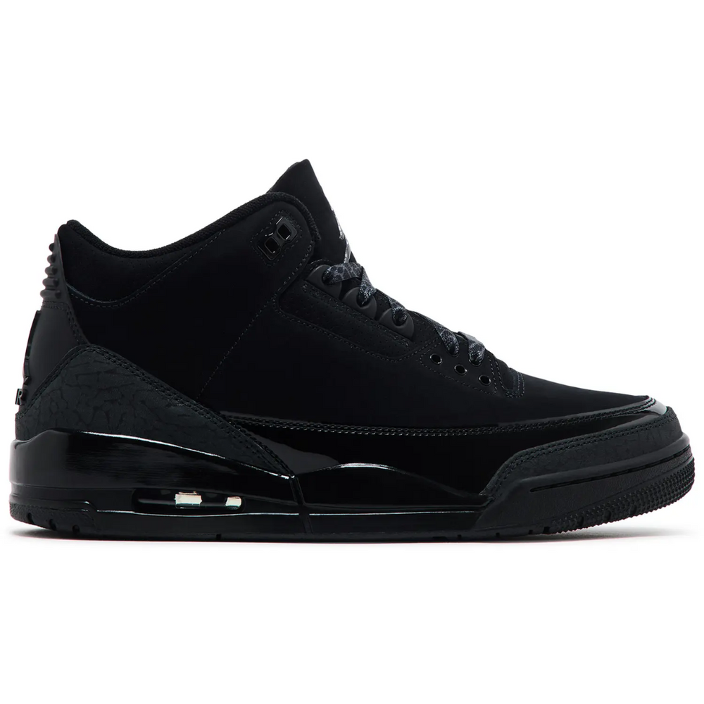 
                      
                        Jordan 3 Retro Black Cat (2025)
                      
                    