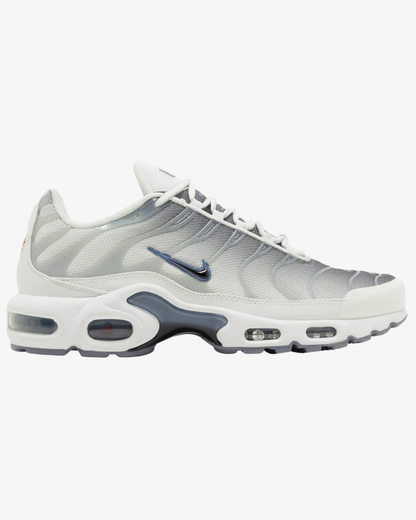 Nike Air Max Plus Smoke Grey Ashen Slate Wmns