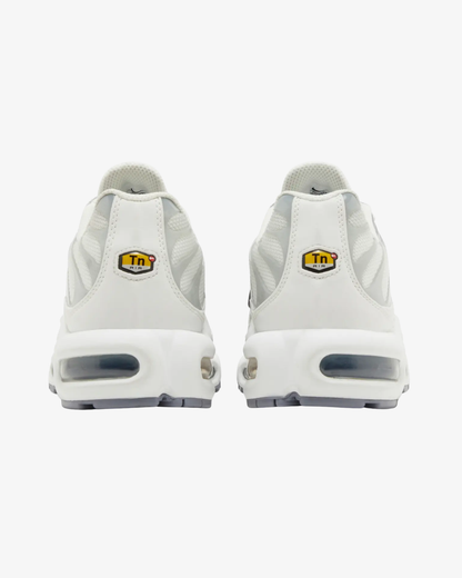 Nike Air Max Plus Smoke Grey Ashen Slate Wmns