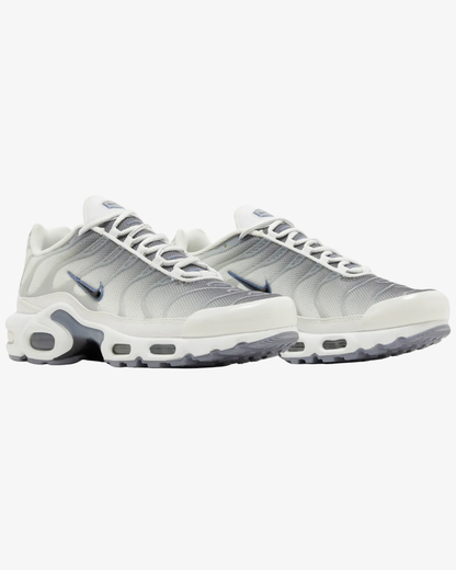 Nike Air Max Plus Smoke Grey Ashen Slate Wmns