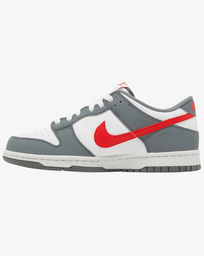 Nike Dunk Low Next Nature GS Smoke Grey Light Crimson Nike
