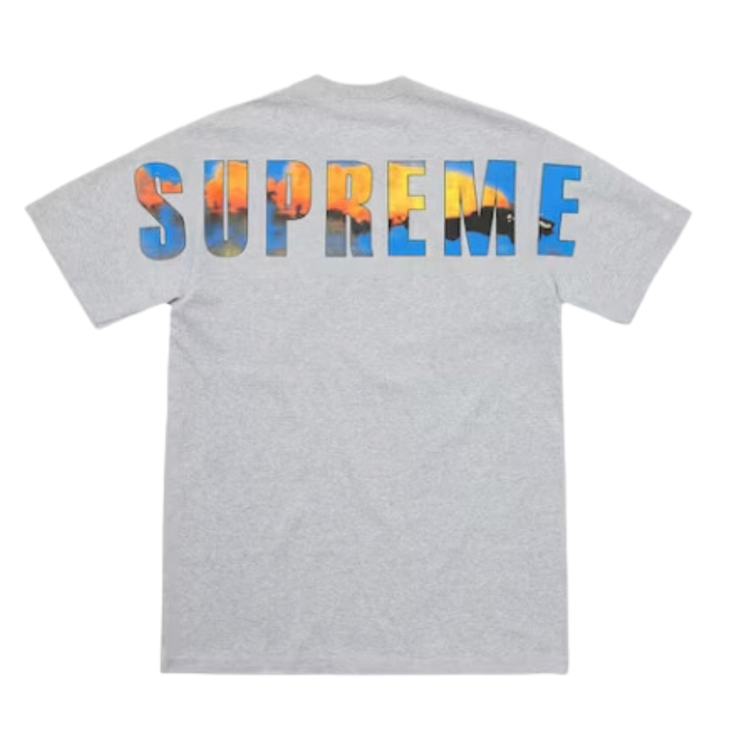 Supreme Crash Tee Heather Grey