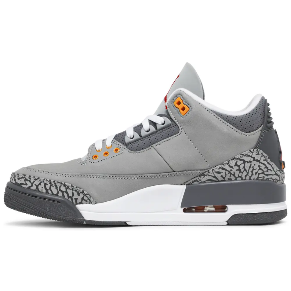 
                      
                        Jordan 3 Retro Cool Grey (2021)
                      
                    