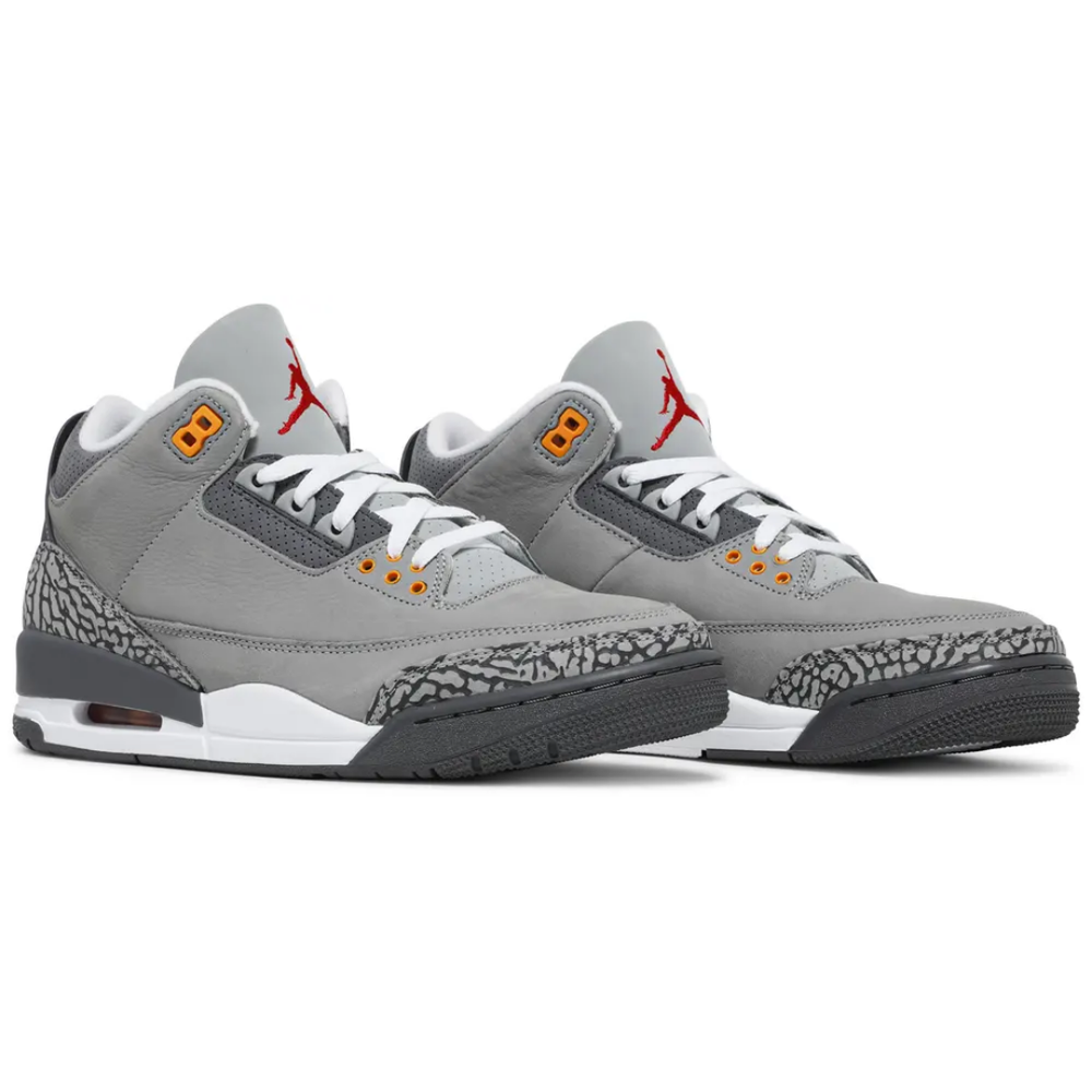 
                      
                        Jordan 3 Retro Cool Grey (2021)
                      
                    