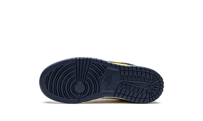 Nike Dunk Low Michigan (2021/2024) (PS)