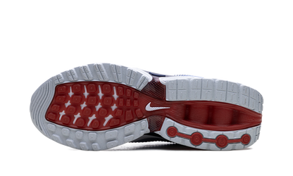 Nike Air Max Dn SE Olympics