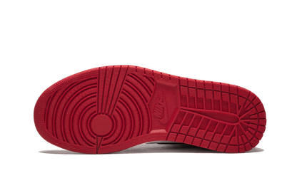 Jordan 1 Retro High Homage To Home (Non-numbered)